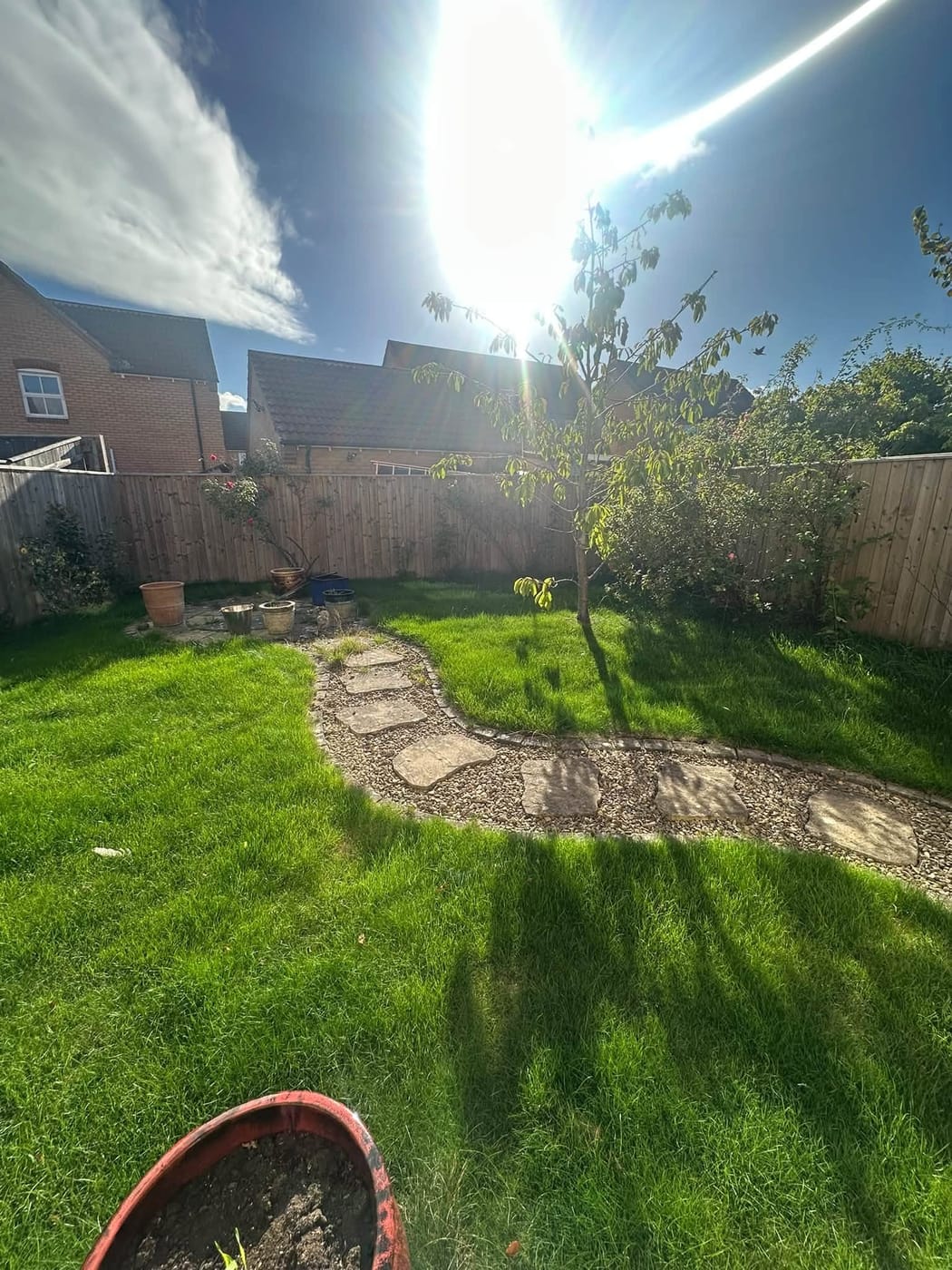 A sunny back garden in Ingleby Barwick with a curved stepping-stone path and a young tree