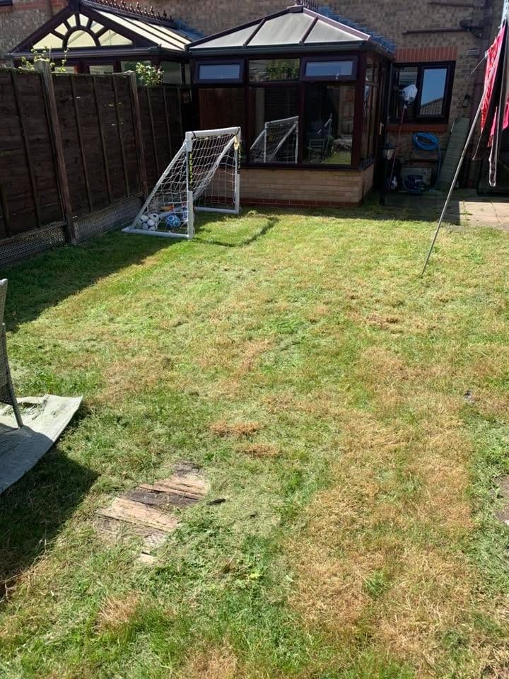 After: the lawn cut and edged up to the fence