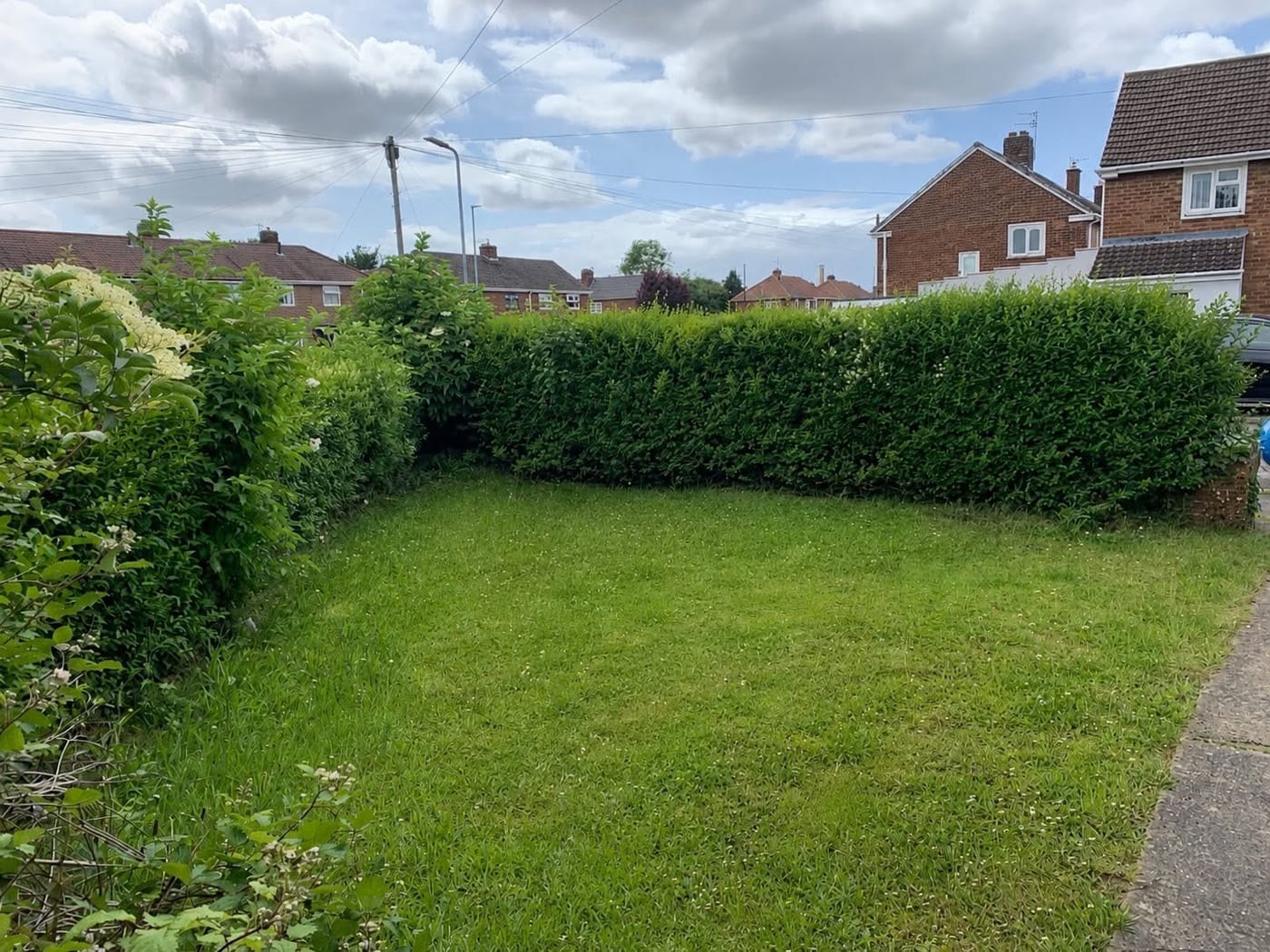 The hedge cut straight and level along the top
