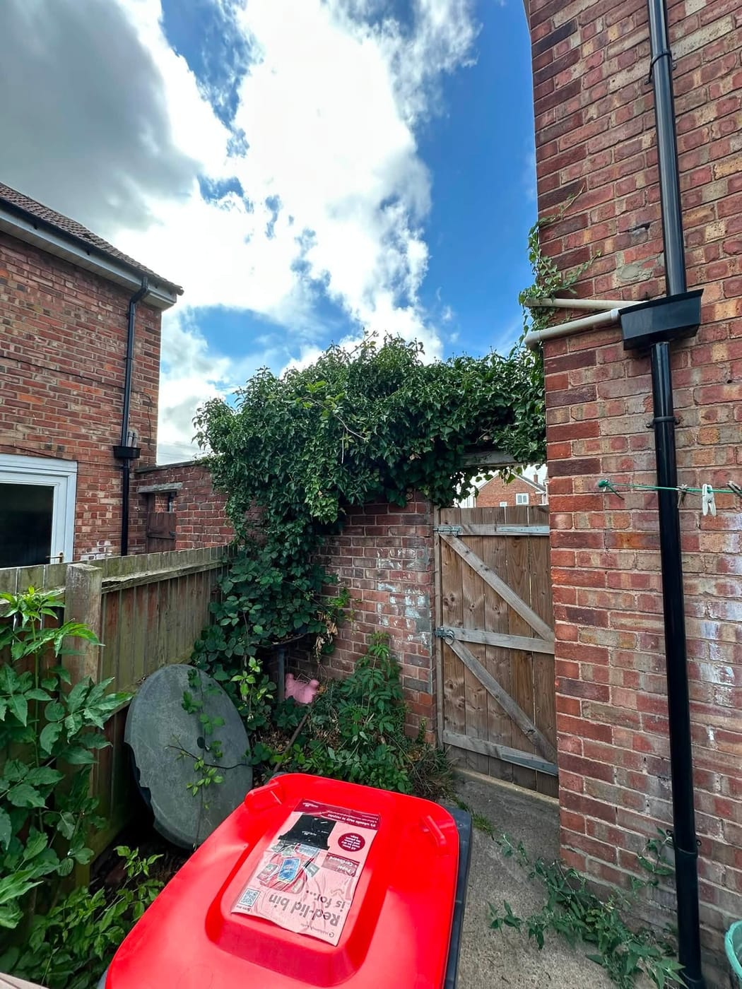 A brick back wall and wooden gate in Park End, before and after the ivy and brambles were cleared