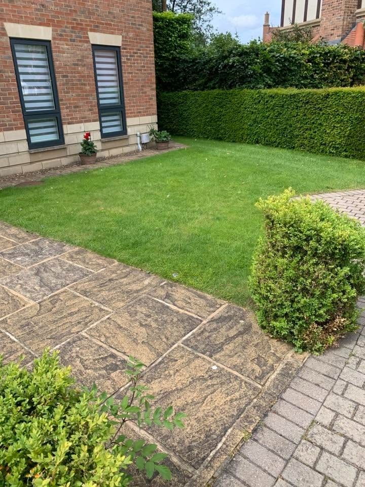 The front lawn, cut and edged beside the paving
